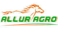 Your Store